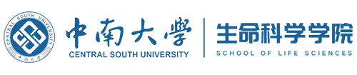 米兰milan门户网站